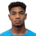 player-logo