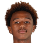player-logo