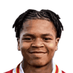 player-logo
