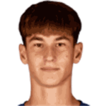 player-logo