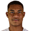 Diego Henrique Borges da Silva