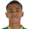 player-logo
