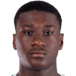 player-logo