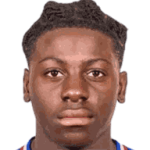 player-logo