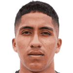 Williams Aldair Guzman Vargas