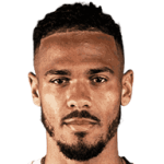player-logo