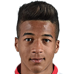 player-logo