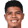 player-logo