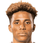 player-logo