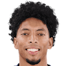 player-logo