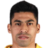 player-logo
