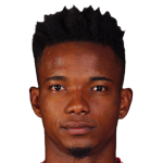 player-logo