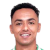 player-logo