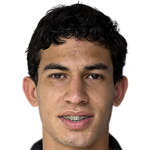 Pedro Henrique Ribeiro Goncalves