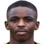 player-logo