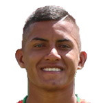 Cristian Dario Barrios Puertas