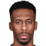 player-logo