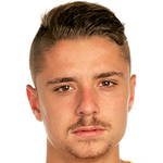 player-logo