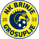 Grosuplje team logo