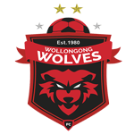 Wollongong Wolves team logo
