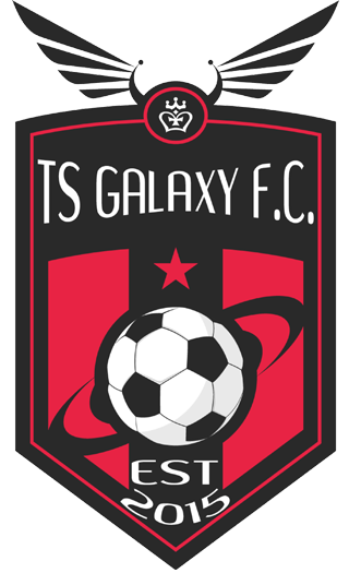TS Galaxy team logo