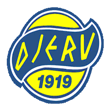 Djerv team logo