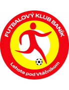 transfer-team-logo