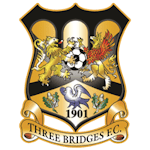 Three Bridges team logo