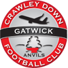 team-logo-background