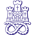 Newcastle Town team logo