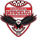 transfer-team-logo