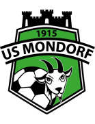 team-logo