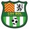 team-logo
