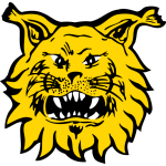 team-logo