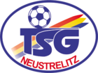 Neustrelitz team logo
