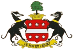 Needham Market team logo