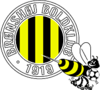 Bronshoj team logo