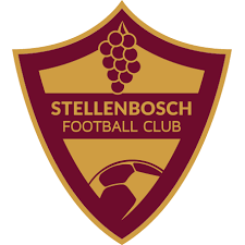 Stellenbosch team logo