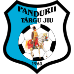 Pandurii Targu Jiu team logo