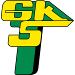 Gornik Leczna team logo