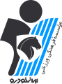Paykan team logo