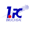 Bruchsal team logo