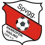 Hankofen-Hailing team logo