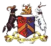 Bradford Park Avenue team logo