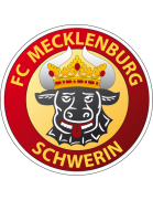 Mecklenburg Schwerin team logo