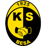 transfer-team-logo
