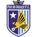 transfer-team-logo