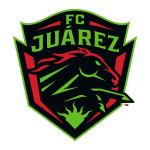 team-logo-bg