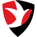 team-logo