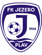 transfer-team-logo